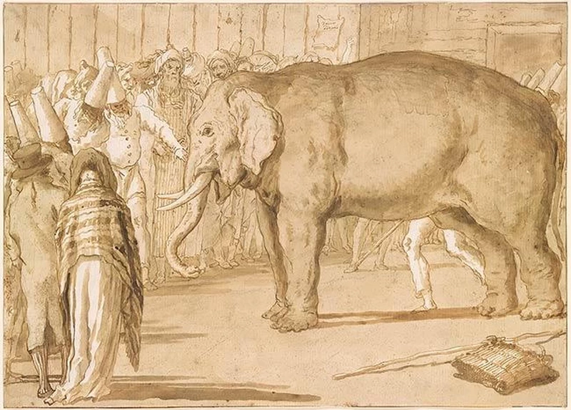 Pulcinella con un elefante, 1797 - 1804, penna e inchiostro marrone su carta, The Morgan Library & Museum, New York